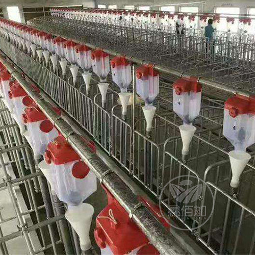 鑫佰加畜牧设备河南开封市家庭农场养猪设备合作